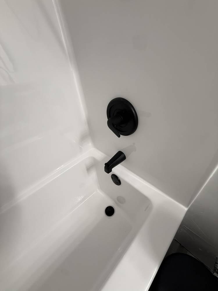 Tub with matte black fixtures
